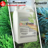 Пуршейд на фото